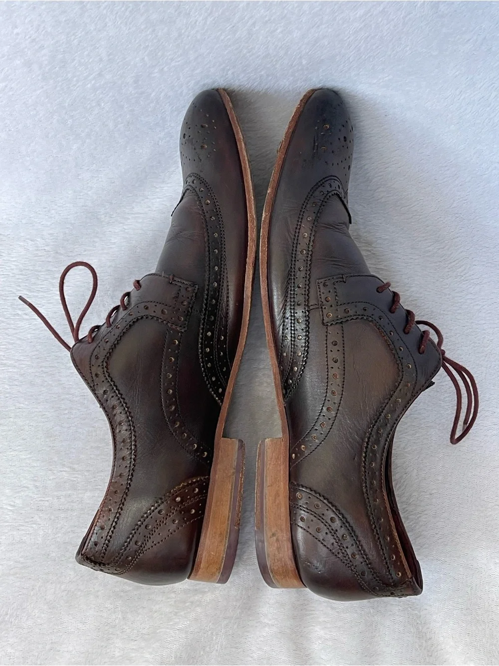 Ted Baker Gryene Derby Brown Wingtip Dress Shoes Business Classic Preppy Office